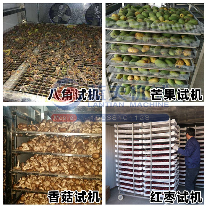 八角烘干機試機現場
